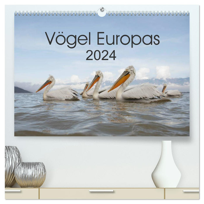 Oiseaux d'Europe 2024 (Calvendo Premium Calendrier mural 2024) 