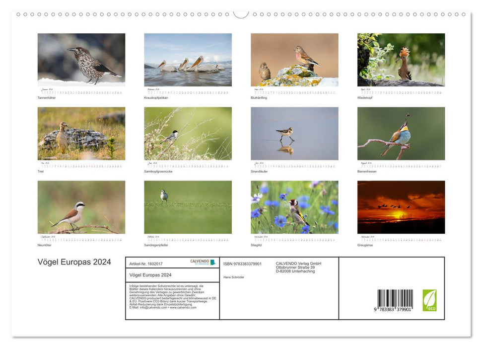 Oiseaux d'Europe 2024 (Calvendo Premium Calendrier mural 2024) 