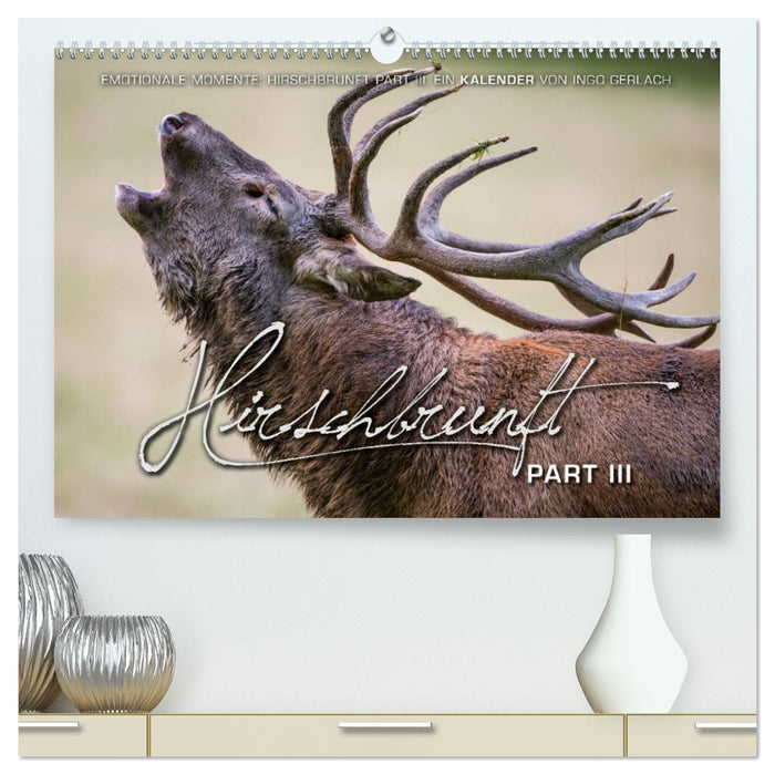 Moments d'émotion : cerf en rut. Partie III. (Calendrier mural CALVENDO Premium 2024) 