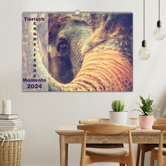 Animal poignant moments 2024 (CALVENDO wall calendar 2024) 