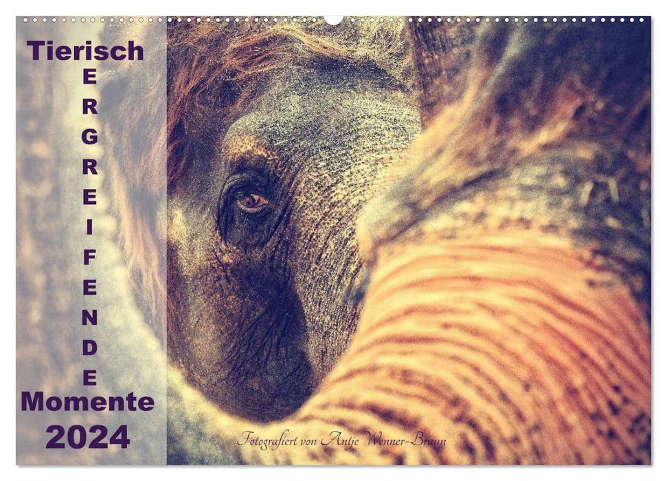 Animal poignant moments 2024 (CALVENDO wall calendar 2024) 