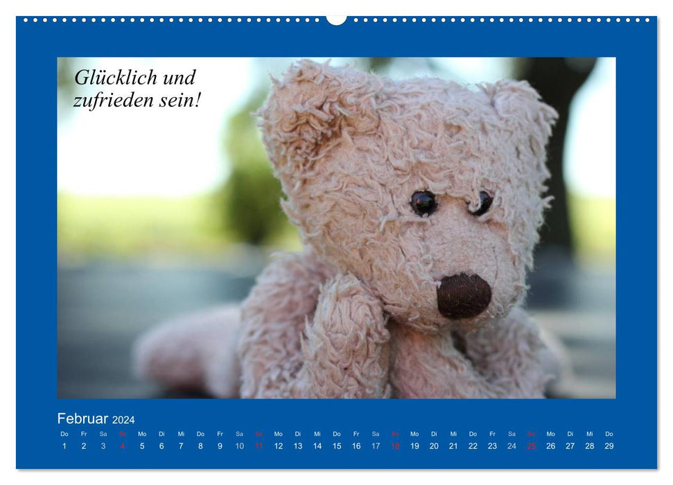 Summer in Teddy Land. Bear and friends (CALVENDO wall calendar 2024) 