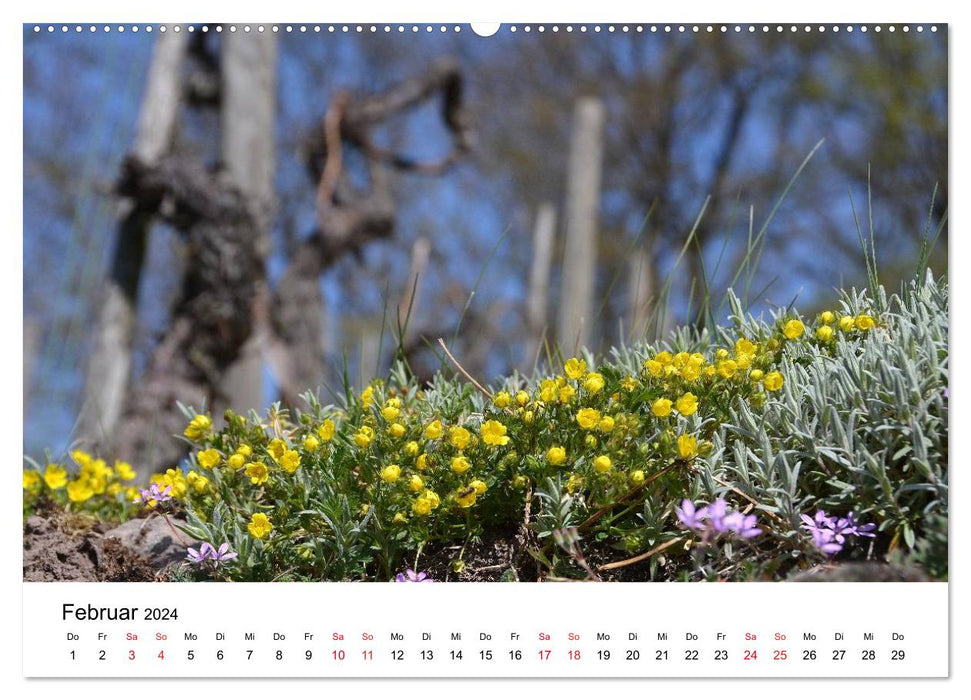 The Strohgäu (CALVENDO wall calendar 2024) 