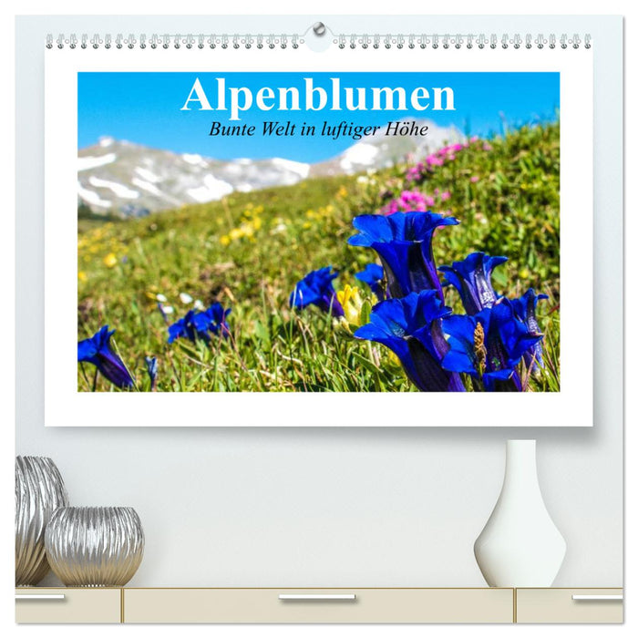 Fleurs alpines. Un monde coloré à de hautes hauteurs (Calendrier mural CALVENDO Premium 2024) 