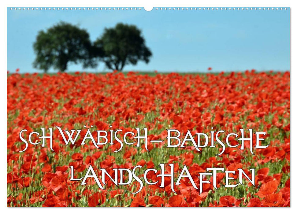 SCHWÄBISCH-BADISCHE LANDSCHAFTEN (CALVENDO Wandkalender 2024)