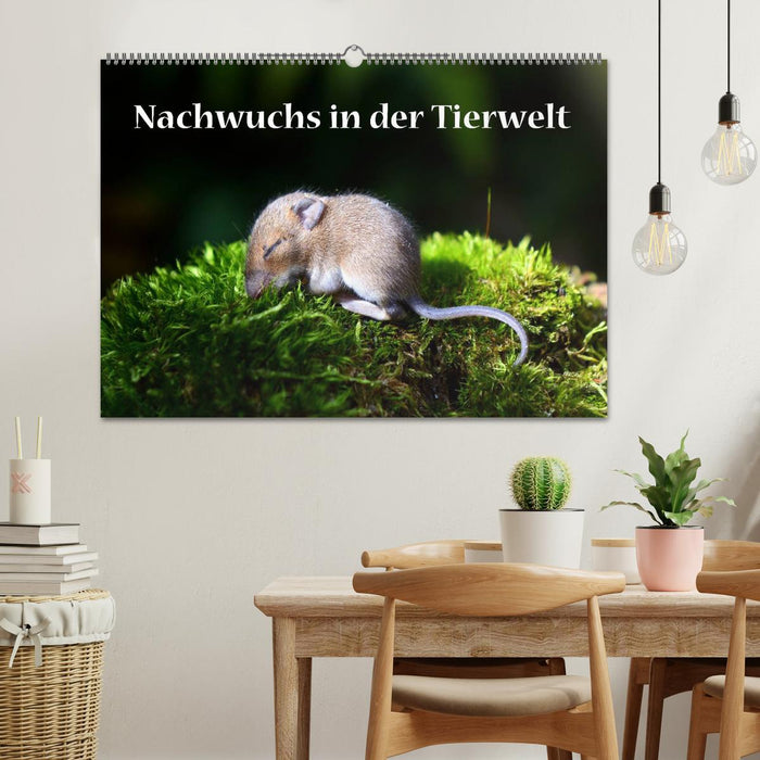 Nachwuchs in der Tierwelt (CALVENDO Wandkalender 2024)