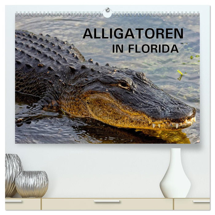 ALLIGATORS in Florida (CALVENDO Premium Wall Calendar 2024) 