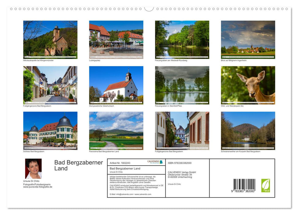 Bad Bergzaberner Land (CALVENDO Premium Wall Calendar 2024) 