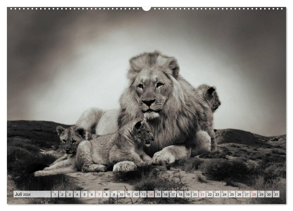 Wild animals in black and white (CALVENDO Premium Wall Calendar 2024) 