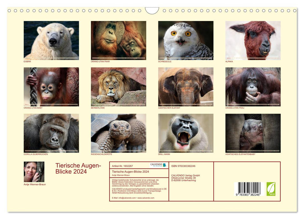 Animal Eyes Glances 2024 (CALVENDO Wall Calendar 2024) 