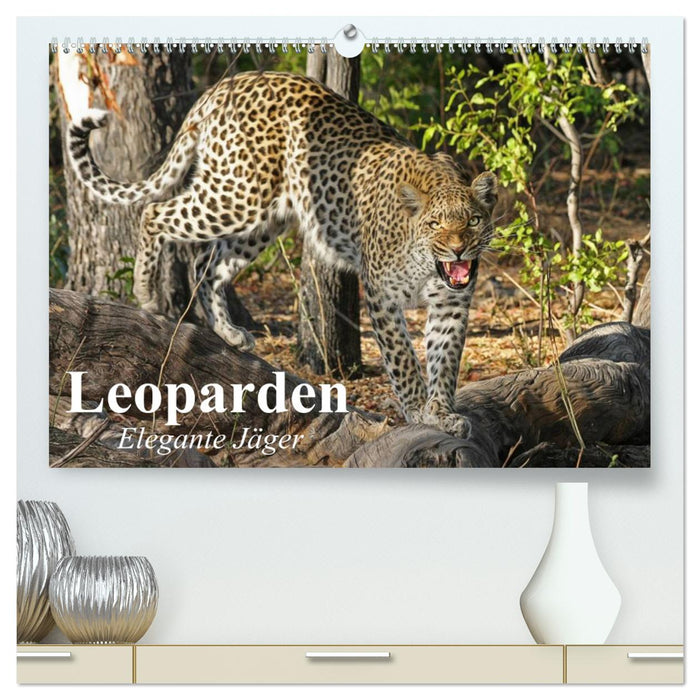 Léopards. Chasseurs élégants (Calvendo Premium Wall Calendar 2024) 