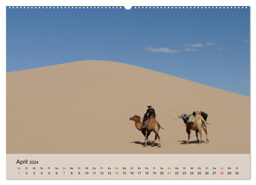 Camels in the desert sun (CALVENDO Premium Wall Calendar 2024)