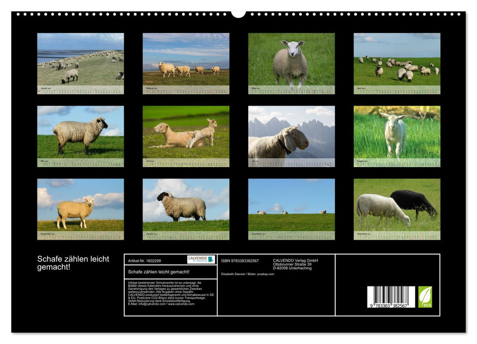 Counting sheep made easy! (CALVENDO Premium Wall Calendar 2024) 