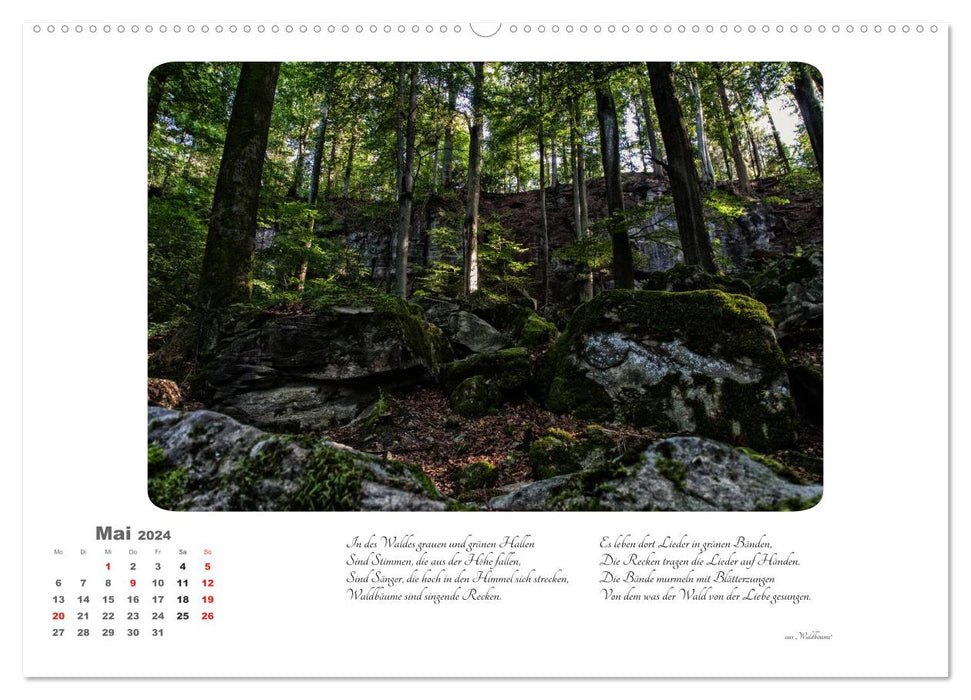 Max Dauthendey - With the forest throughout the year (CALVENDO wall calendar 2024) 