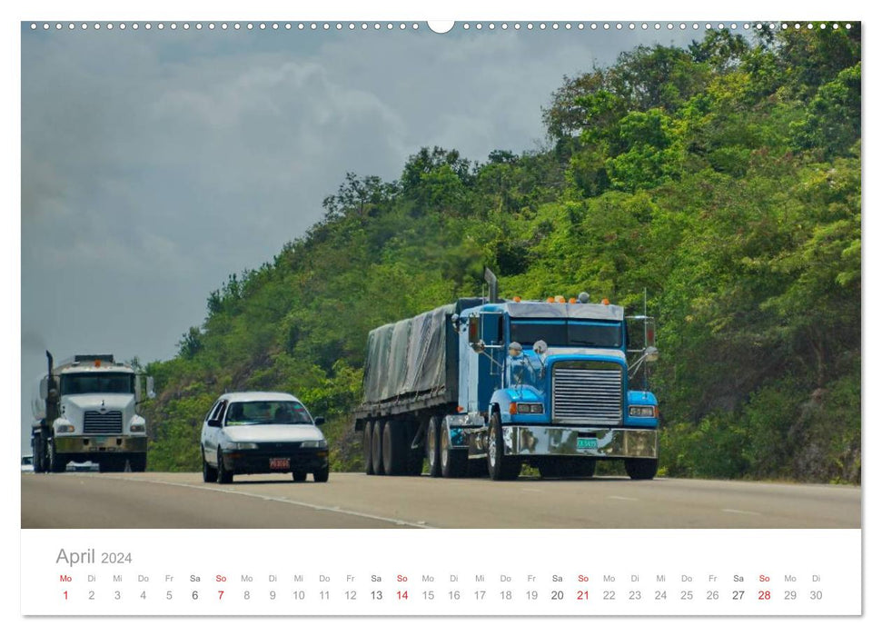 Monster Trucks in Jamaica (CALVENDO Premium Wall Calendar 2024) 