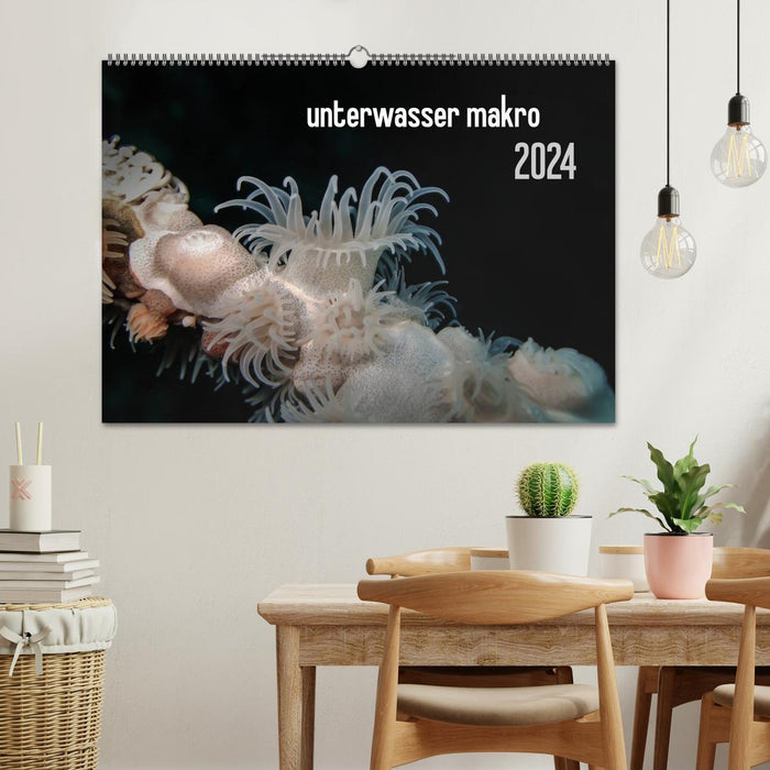 underwater macro 2024 (CALVENDO wall calendar 2024) 