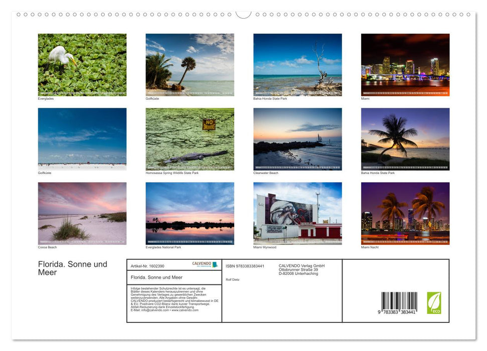 Florida. Sun and Sea (CALVENDO Premium Wall Calendar 2024) 