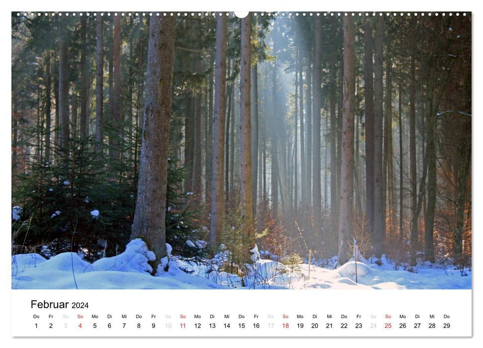 Der Ebersberger Forst und seine Umgebung (CALVENDO Premium Wandkalender 2024)