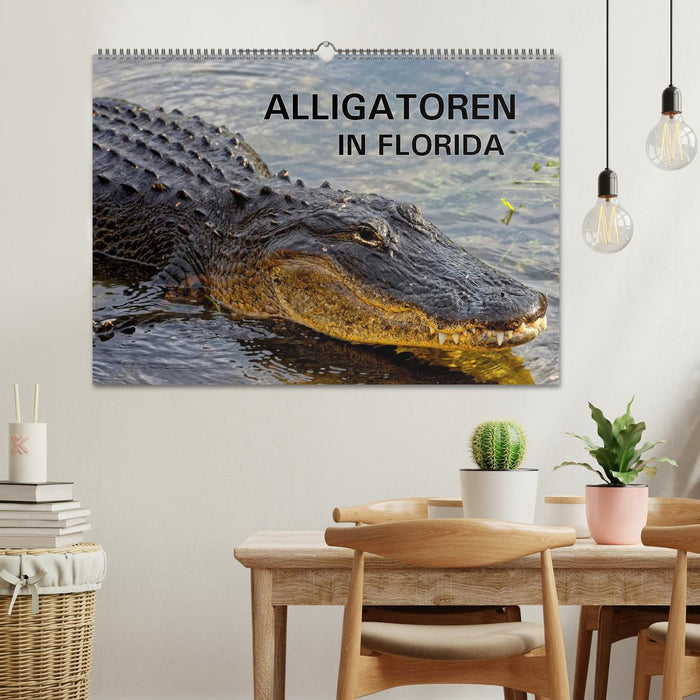 ALLIGATORS en Floride (calendrier mural CALVENDO 2024) 