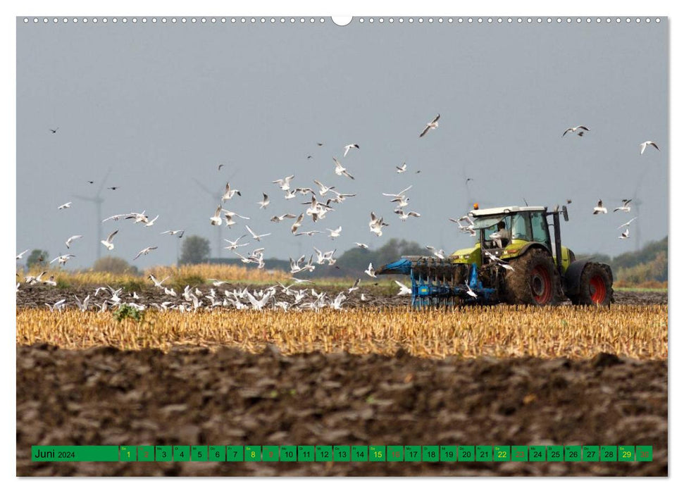 Agriculture - Machines en utilisation (Calendrier mural CALVENDO Premium 2024) 