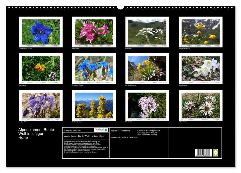 Alpenblumen. Bunte Welt in luftiger Höhe (CALVENDO Wandkalender 2024)