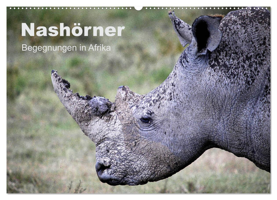 Rhinos - Encounters in Africa (CALVENDO wall calendar 2024) 
