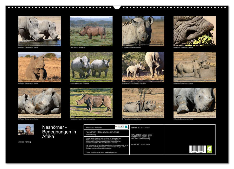 Rhinos - Encounters in Africa (CALVENDO wall calendar 2024) 