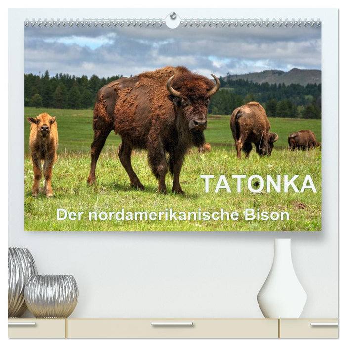 TATONKA The North American Bison (CALVENDO Premium Wall Calendar 2024) 