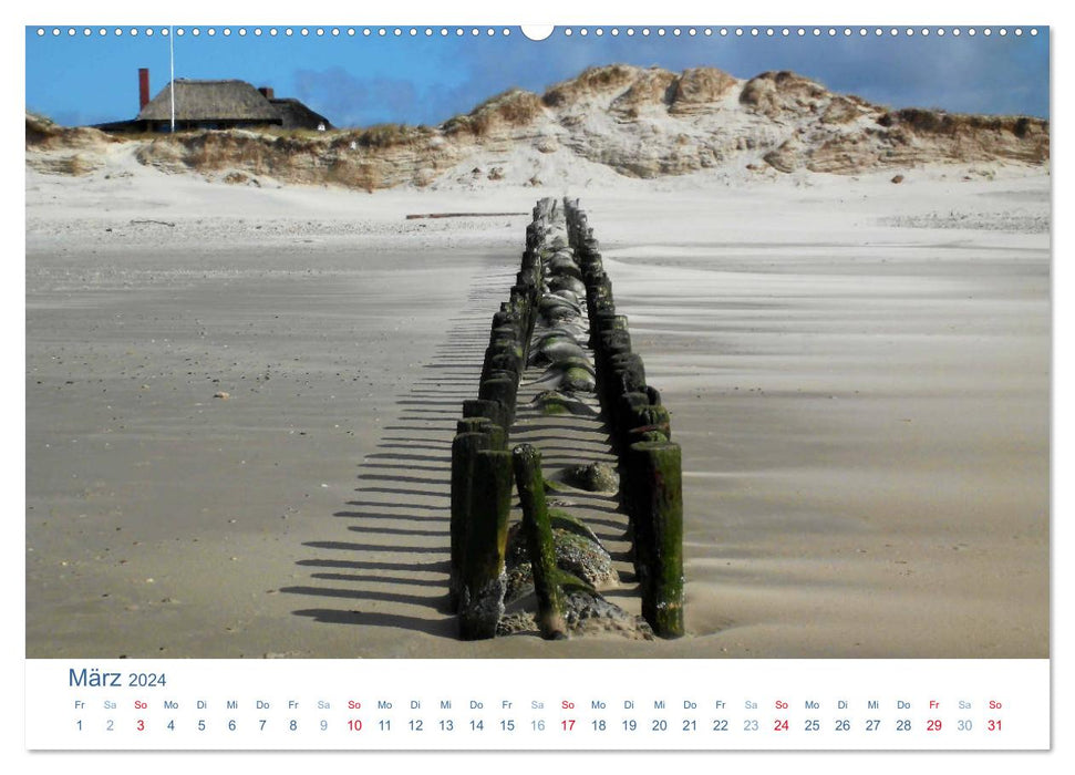 Blåvand 2024 (Blåvand). Impressions of Denmark's North Sea coast (CALVENDO wall calendar 2024) 