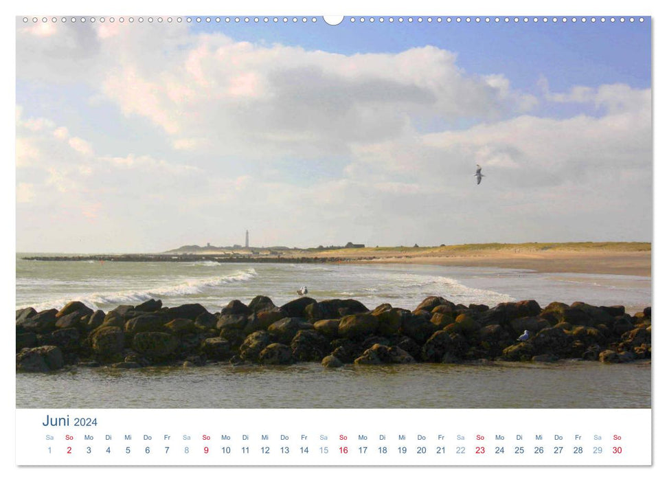 Blåvand 2024 (Blåvand). Impressions de la côte danoise de la mer du Nord (calendrier mural CALVENDO 2024) 