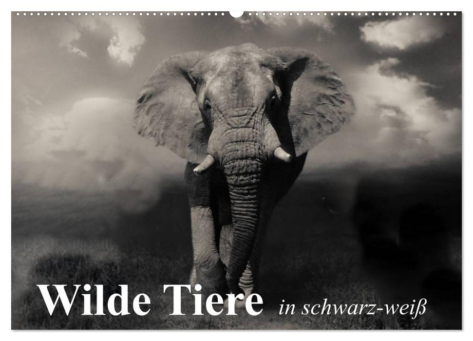 Wilde Tiere in schwarz-weiß (CALVENDO Wandkalender 2024)