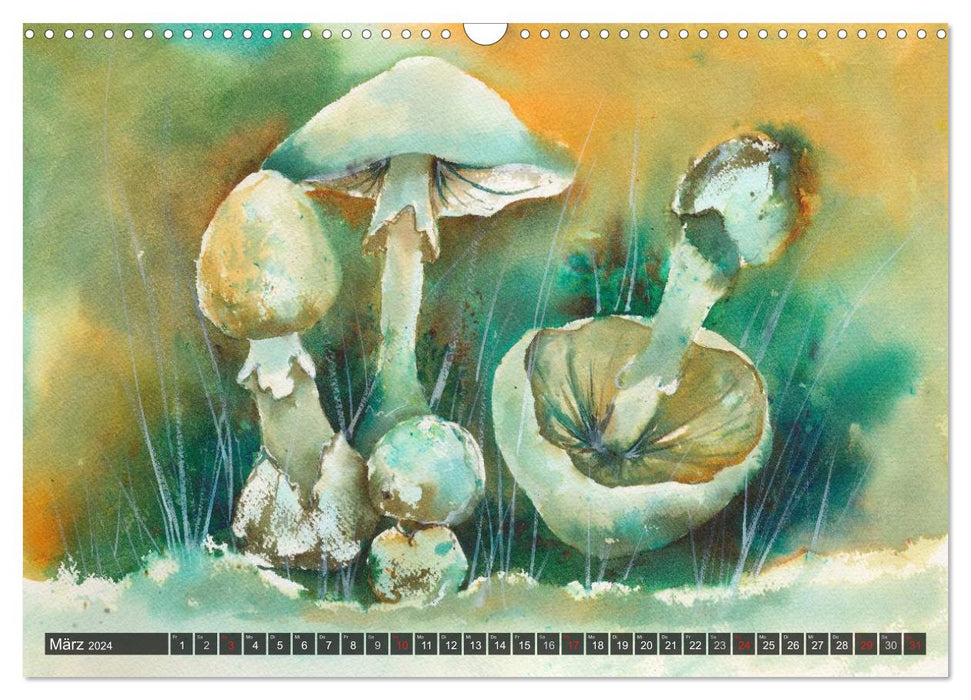 Pilze in Aquarell (CALVENDO Wandkalender 2024)