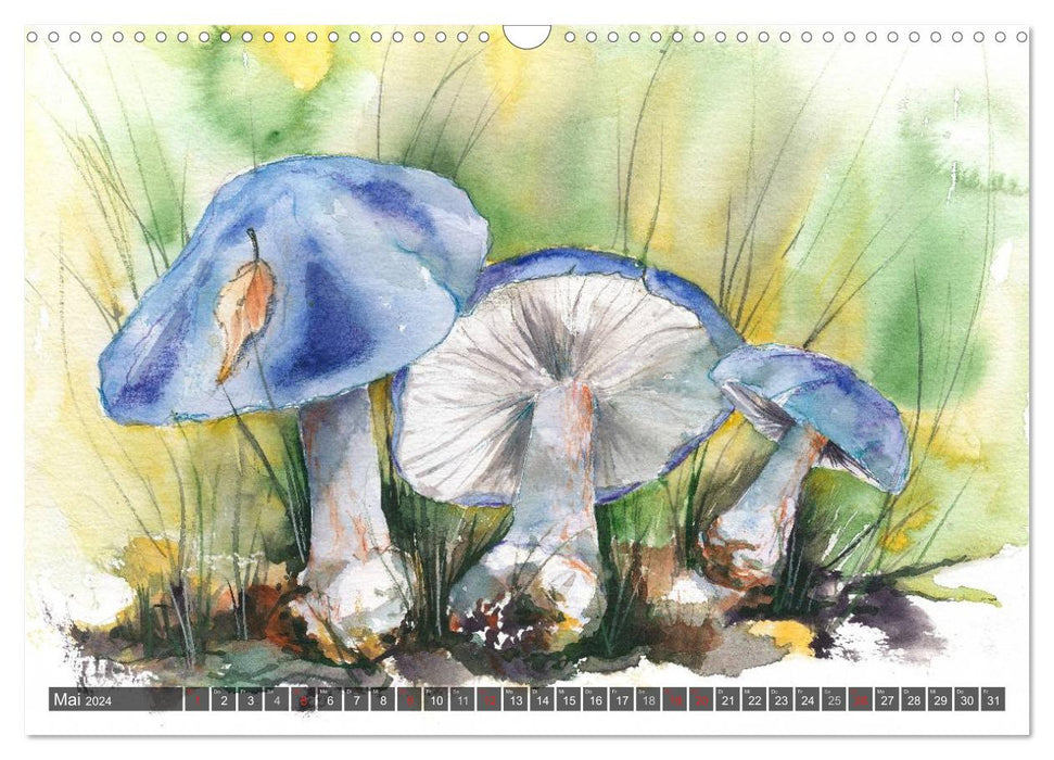 Mushrooms in watercolor (CALVENDO wall calendar 2024) 