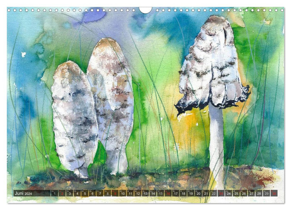 Mushrooms in watercolor (CALVENDO wall calendar 2024) 