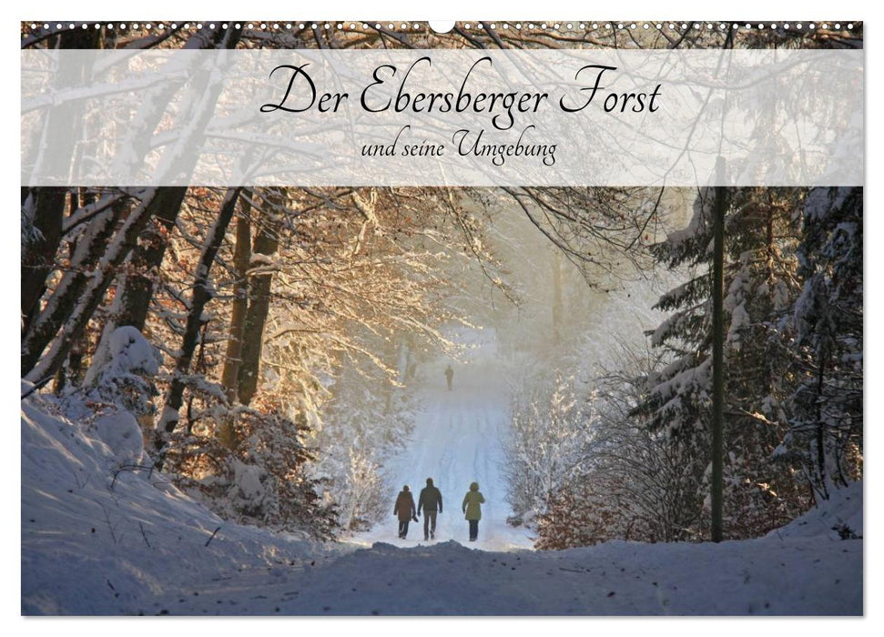 Der Ebersberger Forst und seine Umgebung (CALVENDO Wandkalender 2024)