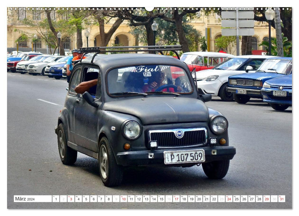 FIAT - Voitures classiques italiennes à Cuba (Calvendo Premium Wall Calendar 2024) 