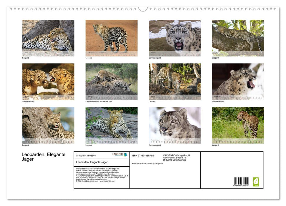 Leoparden. Elegante Jäger (CALVENDO Wandkalender 2024)