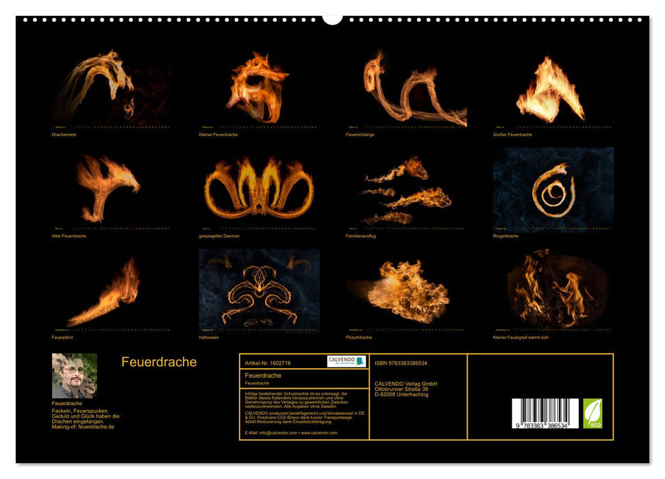 Feuerdrache (CALVENDO Premium Wandkalender 2024)