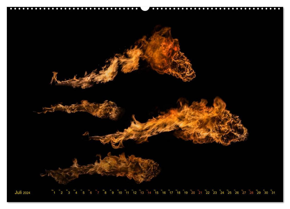 Feuerdrache (CALVENDO Premium Wandkalender 2024)