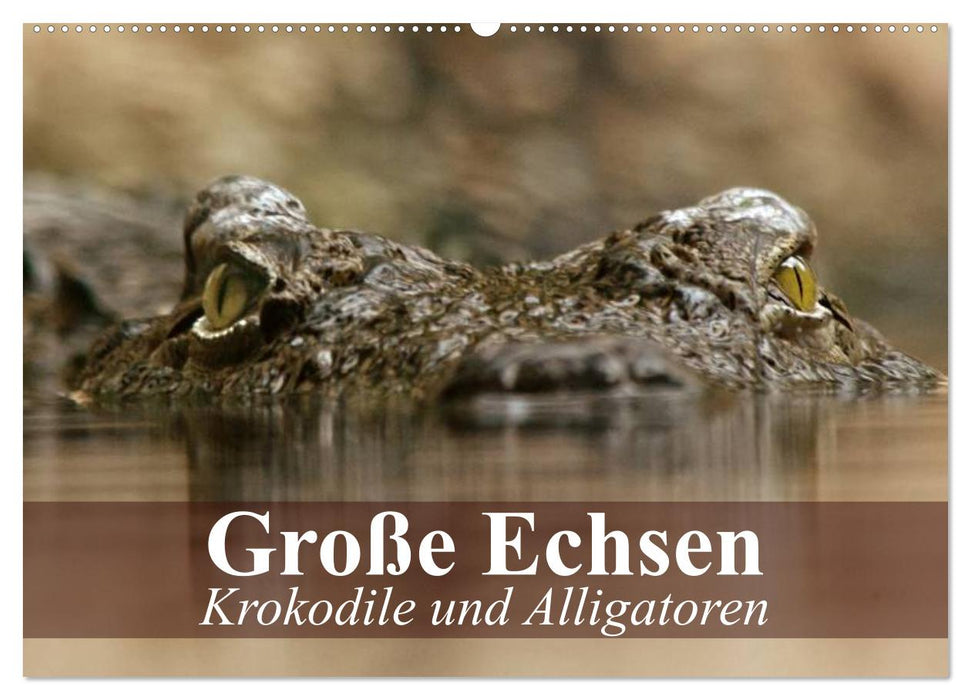 Große Echsen. Krokodile und Alligatoren (CALVENDO Wandkalender 2024)