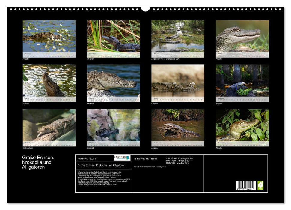 Big lizards. Crocodiles and alligators (CALVENDO wall calendar 2024) 