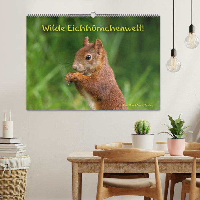 Le monde des écureuils sauvages ! (Calendrier mural CALVENDO 2024) 