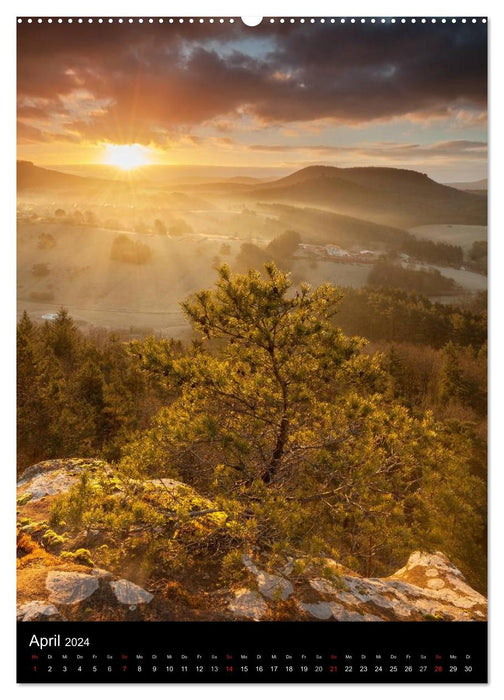 NATURWUNDER PFÄLZERWALD (CALVENDO Wandkalender 2024)