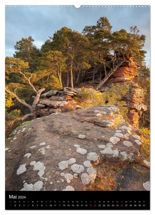 MERVEILLES NATURELLES PFÄLZERWALD (Calendrier mural CALVENDO 2024) 