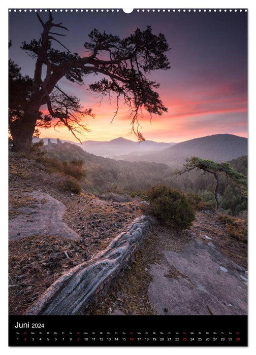 NATURWUNDER PFÄLZERWALD (CALVENDO Wandkalender 2024)