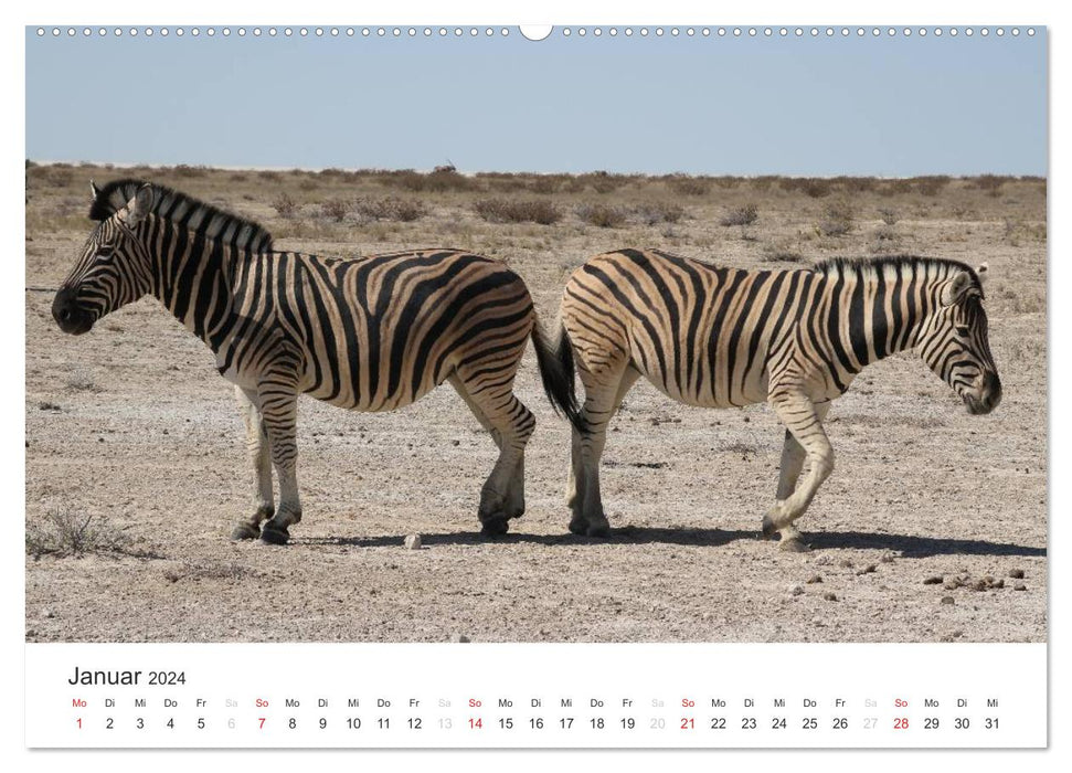 Namibia - Animal Diversity (CALVENDO Premium Wall Calendar 2024) 