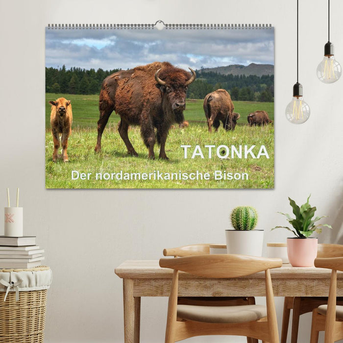 TATONKA The North American Bison (CALVENDO Wall Calendar 2024) 