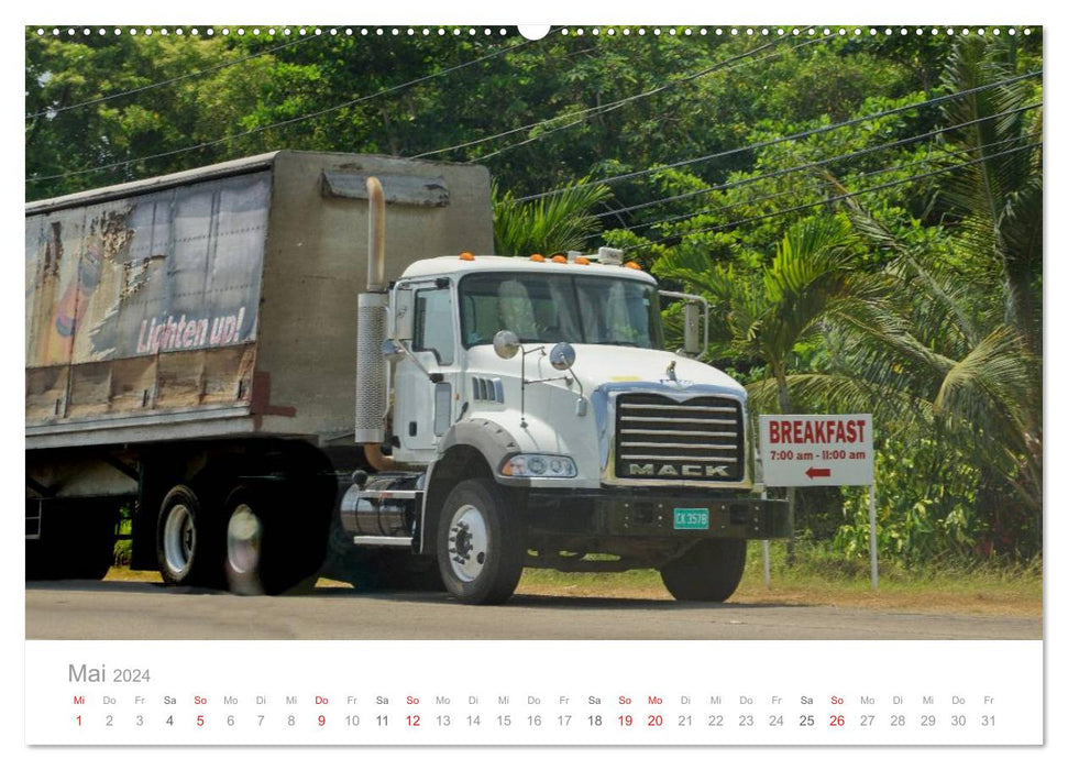 Monster Trucks in Jamaica (CALVENDO Wall Calendar 2024) 