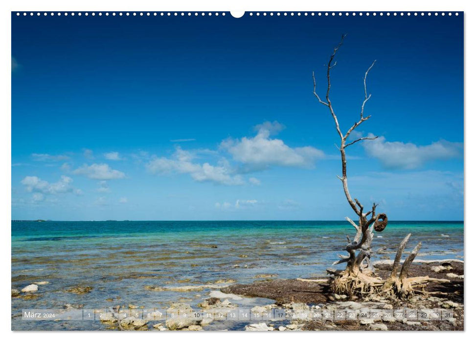 Florida. Sun and sea (CALVENDO wall calendar 2024) 