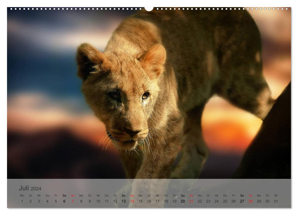 Afrikas schöne Tierwelt (CALVENDO Premium Wandkalender 2024)